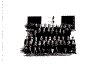 fasci5.gif (49064 byte)