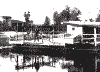 ponte3.gif (151932 byte)