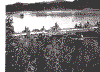 ponte.gif (135687 byte)